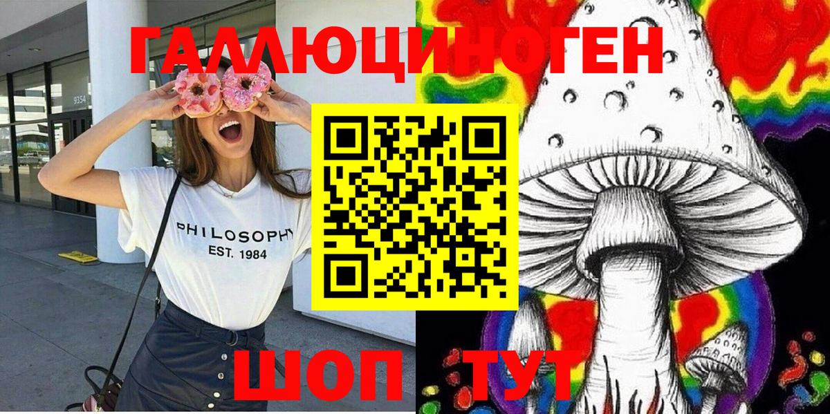Прохладный  Псилоцибиновые грибы Psilocybe  Вход с VPN 