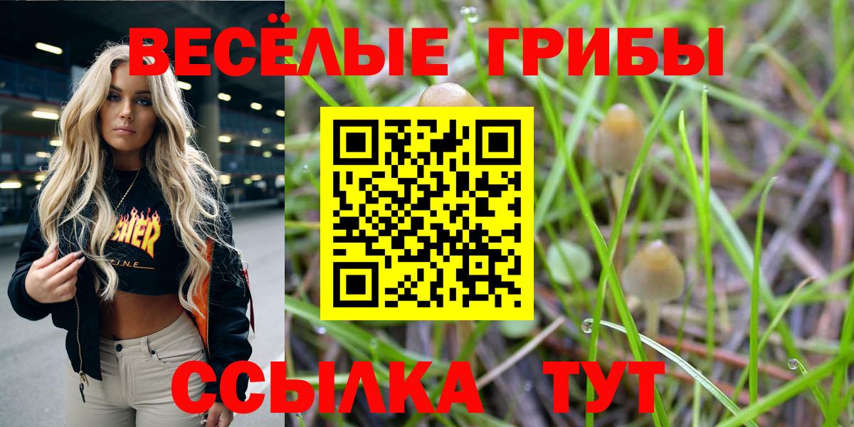Псилоцибиновые грибы MAGIC MUSHROOMS Прохладный