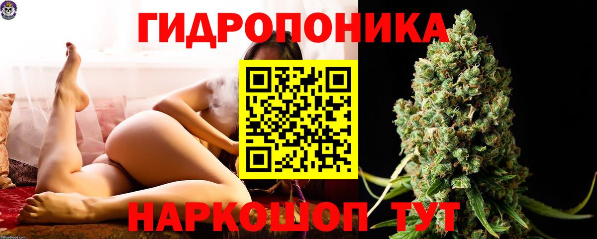 Бошки Шишки марихуана Прохладный